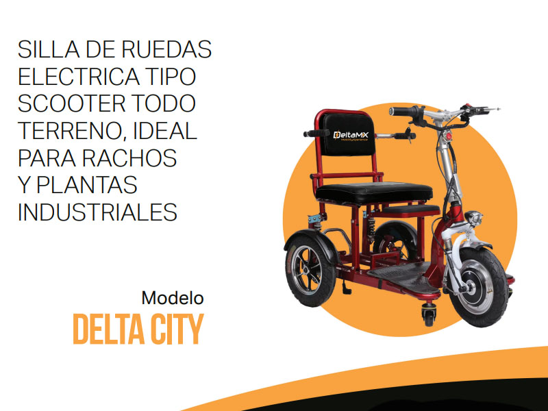 Delta Duo City